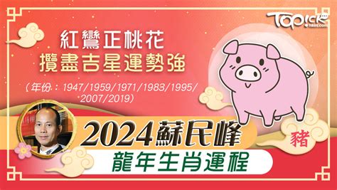 2024年生肖豬運程|2024 肖豬流年運程 